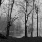 Along with St Joseph River, near White Pigeon MI