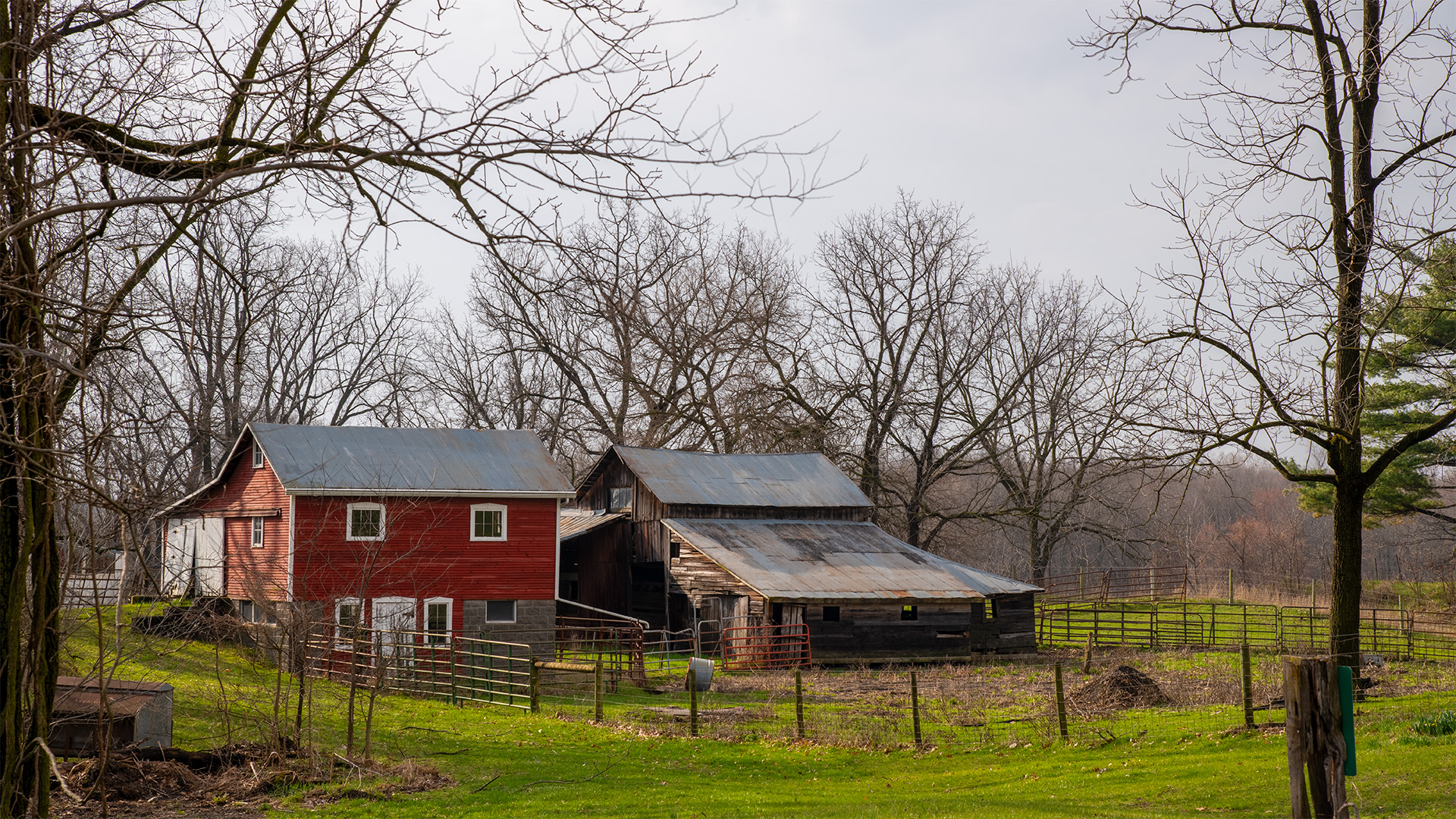 A Small Cottage & Rustic Barn, near Shipshewana, IN