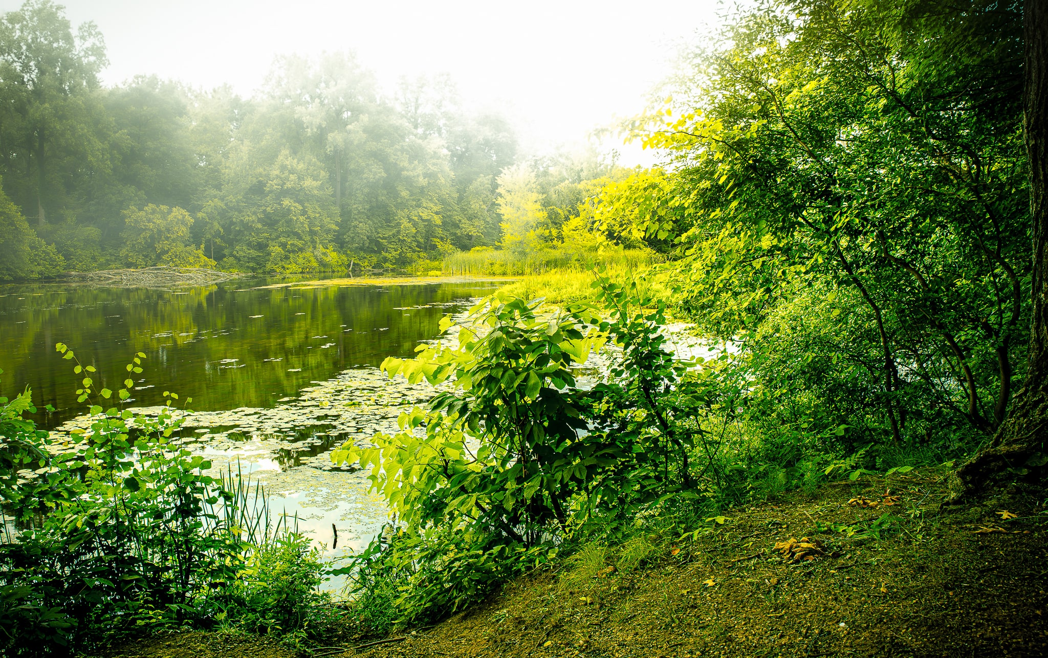 Mill Creek Park, Constantine, MI