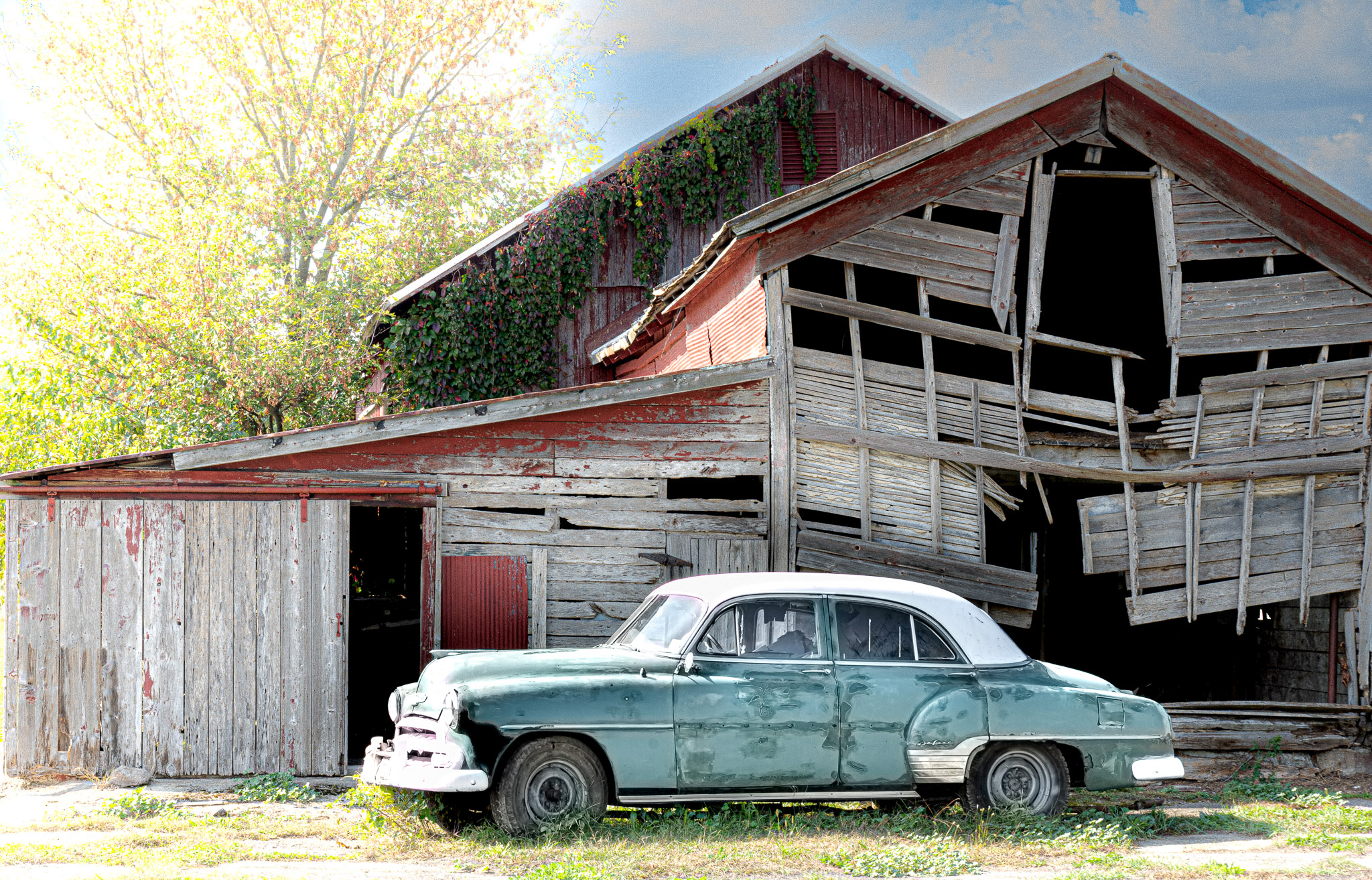 What they may have witnessed over the years