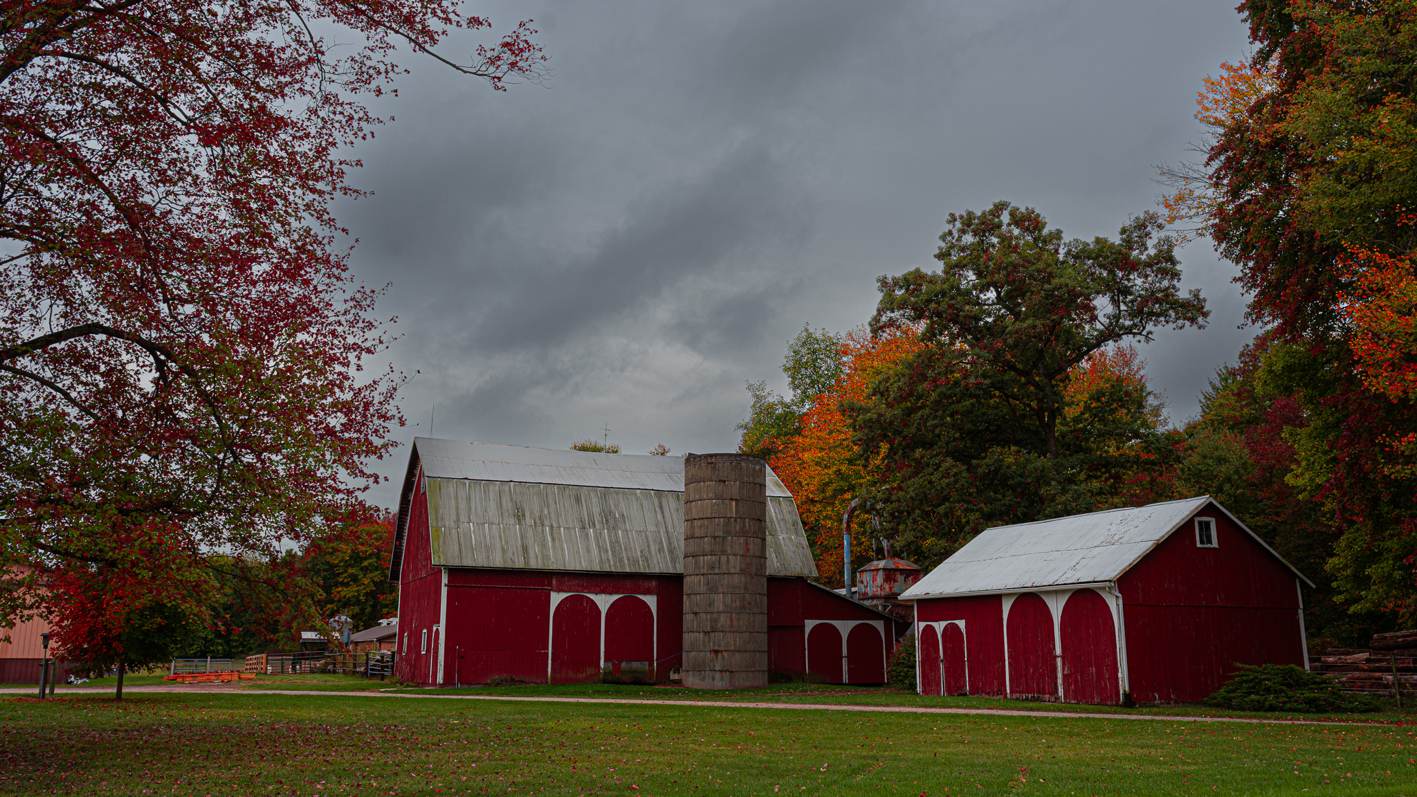 The colors of autumn are coming slowly but surely.