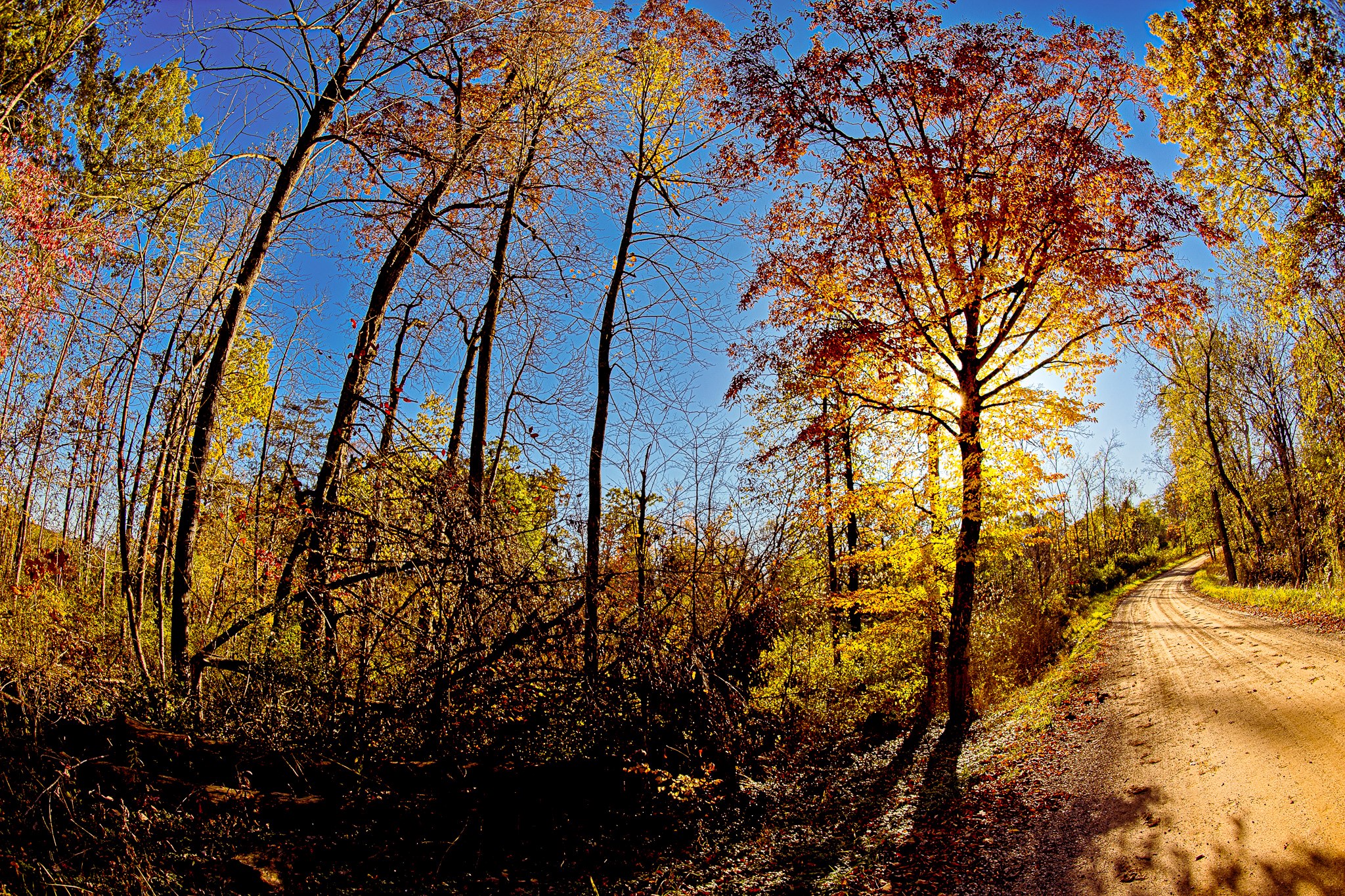 Shot with a fisheye lens on a backroad during a fall afternoon in rural St. Joseph County, Michigan