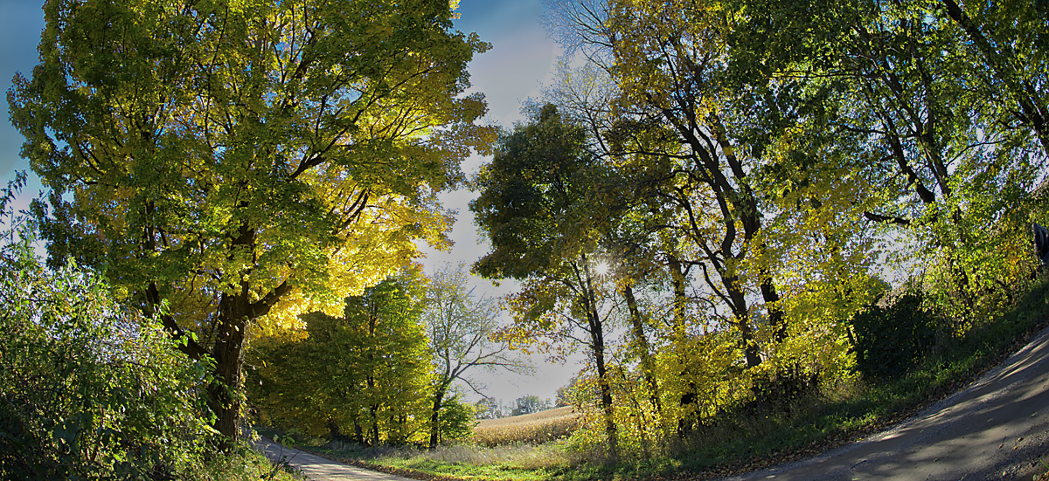 Late autumn afternoon near sunset in St. Joseph County,  Michigan